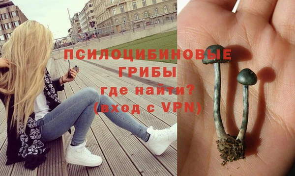 трава Михайловка