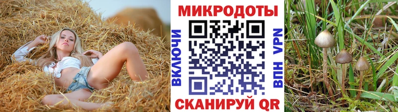 Галлюциногенные грибы Psilocybe  блэк спрут зеркало  Киров 