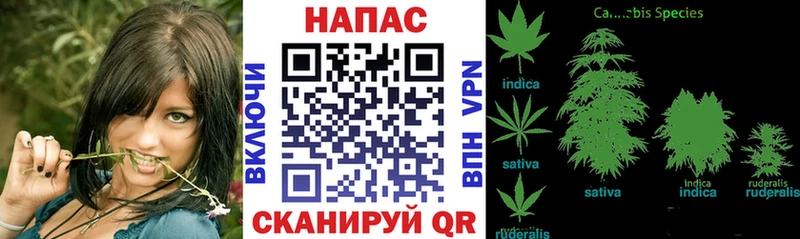 Каннабис тримм Киров